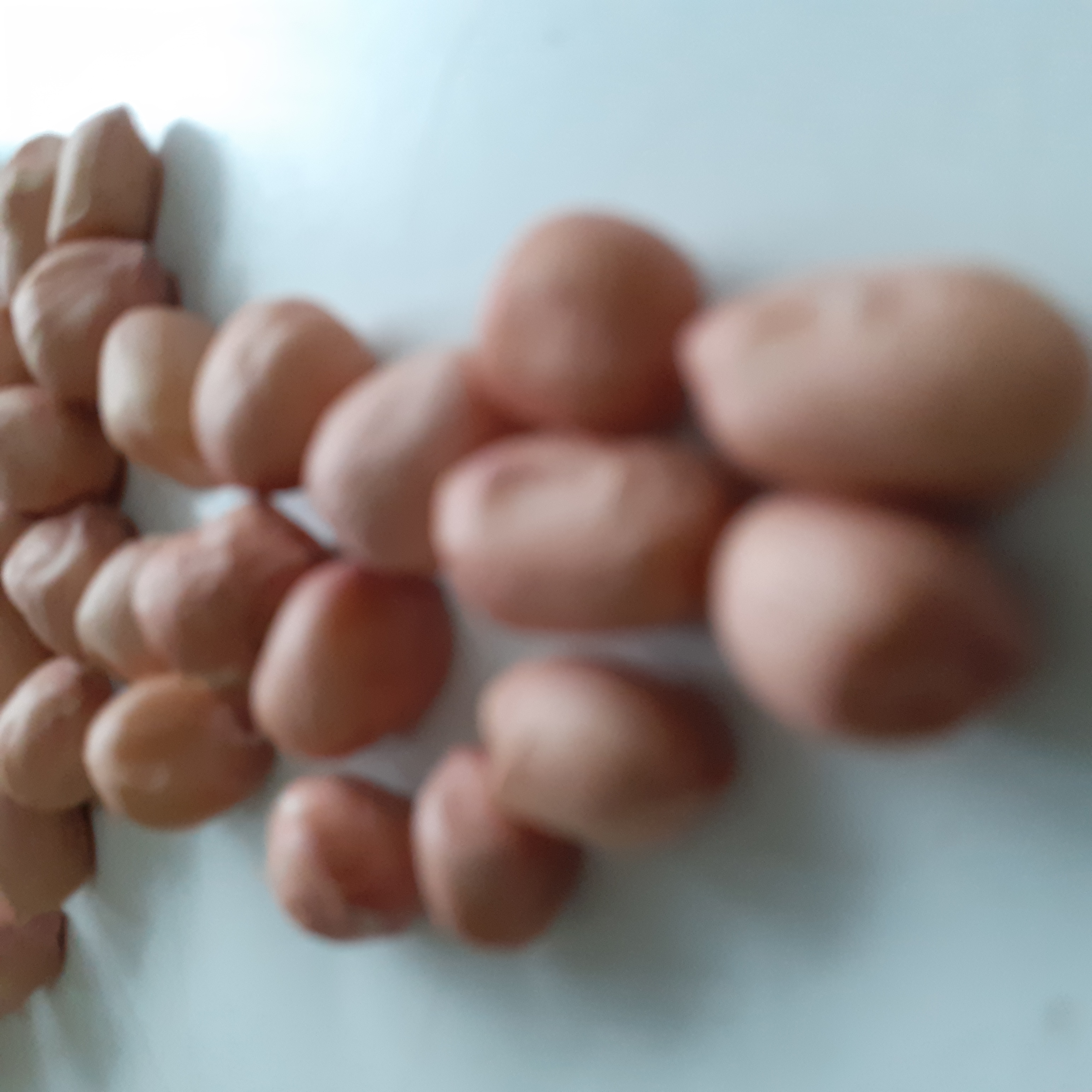 Đậu Phộng Sống 1kg