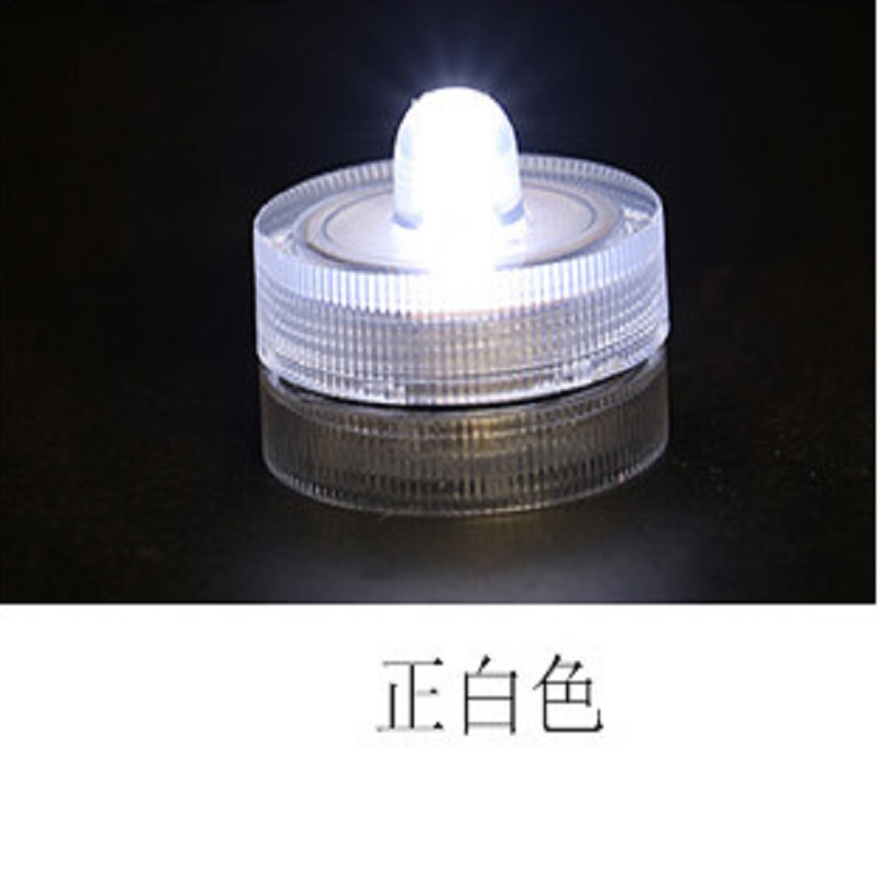 Đèn Led trang trí bể cá