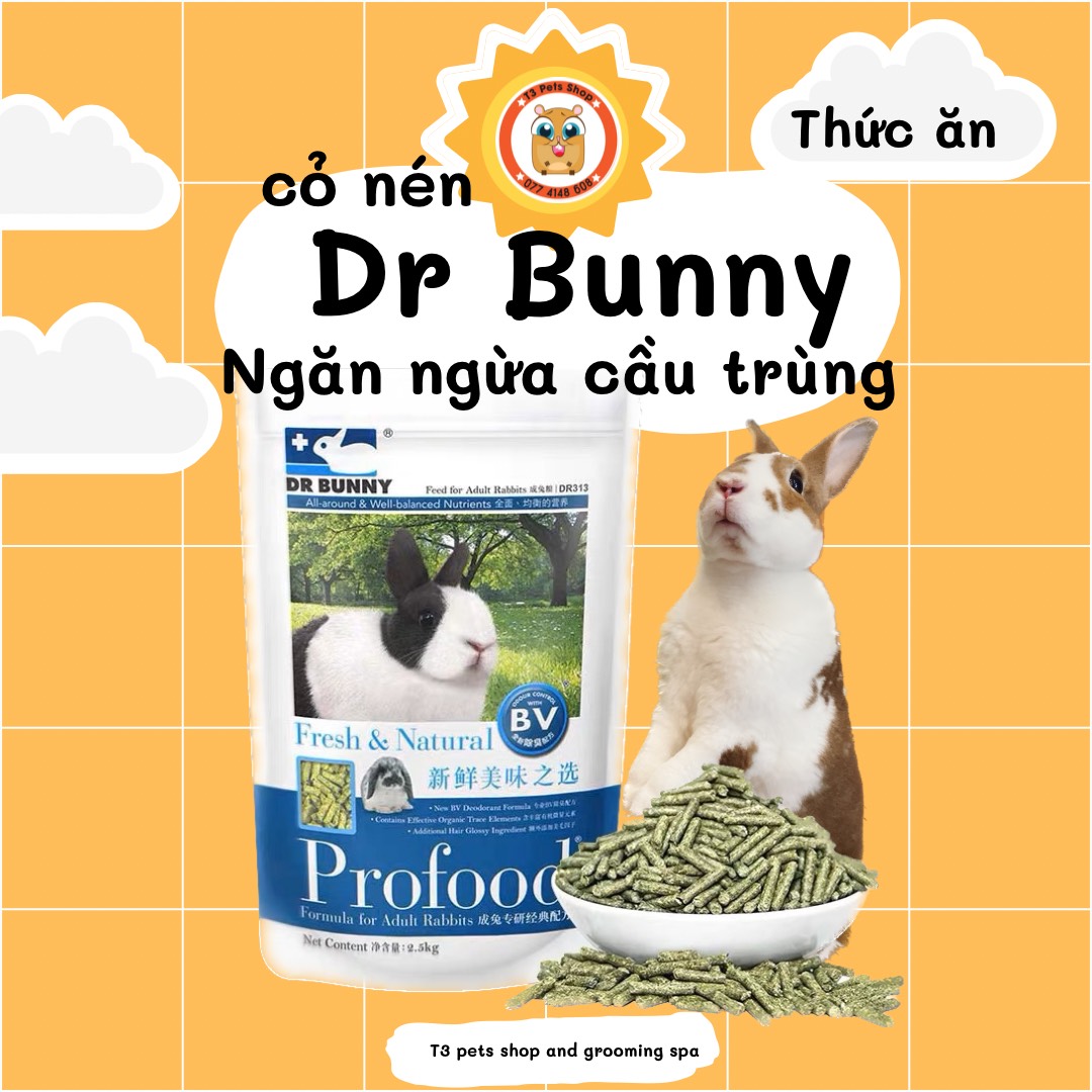 Pellet dr bunny ngừa cầu trừng dành cho thỏ lớn 2.5kg
