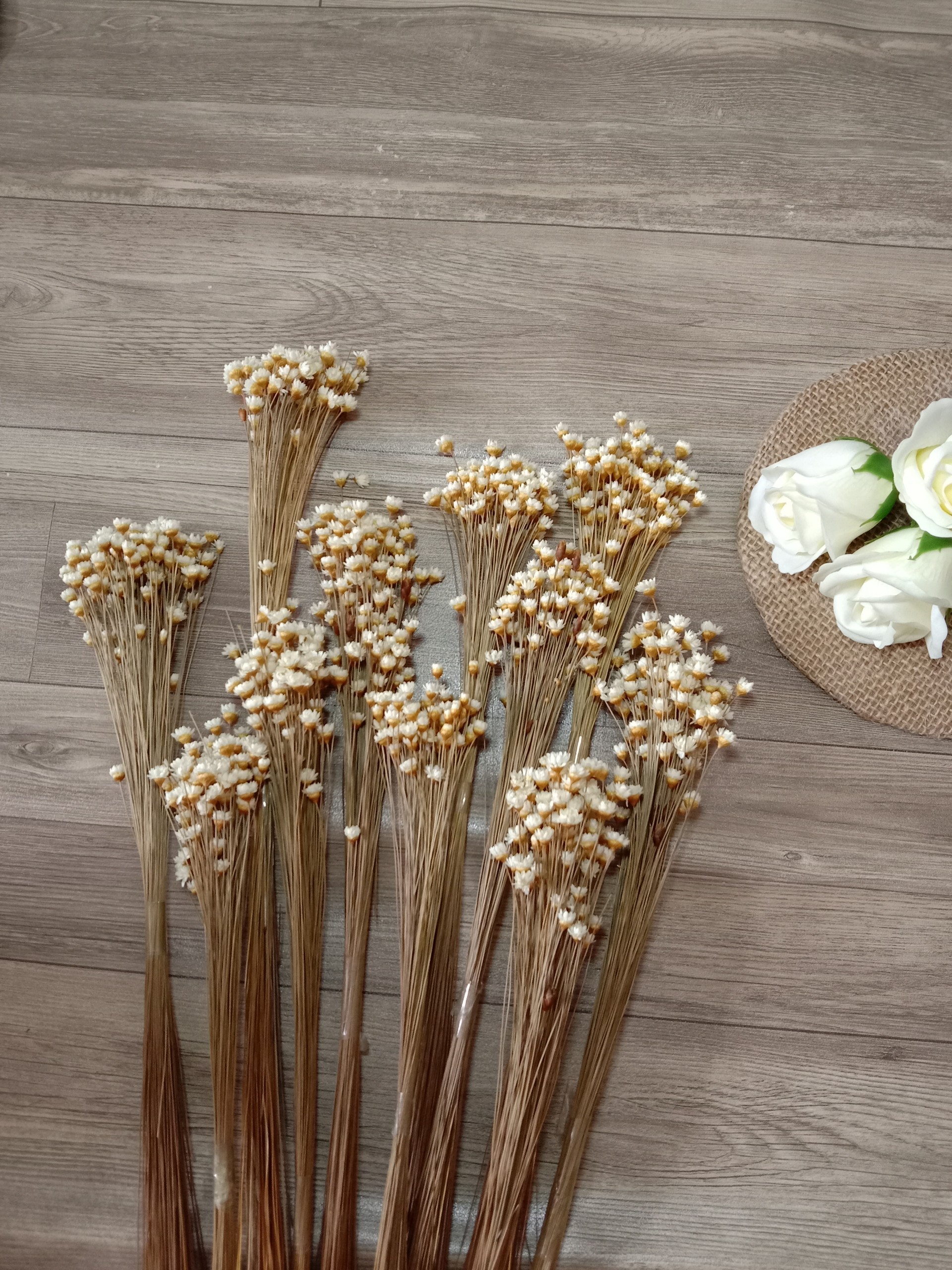 hoa khô - cúc mini - ngâm nước khép lại