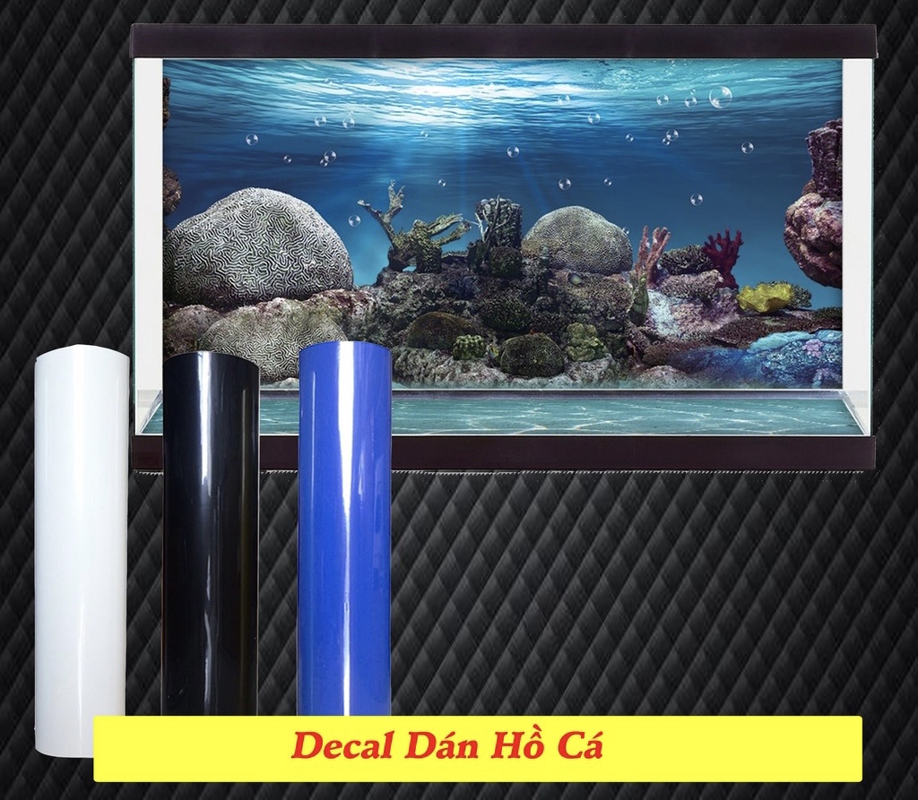 "hoàn tiền đến 10%" decal trắng, đen, xanh dán bể cá cảnh khổ cao 60cm