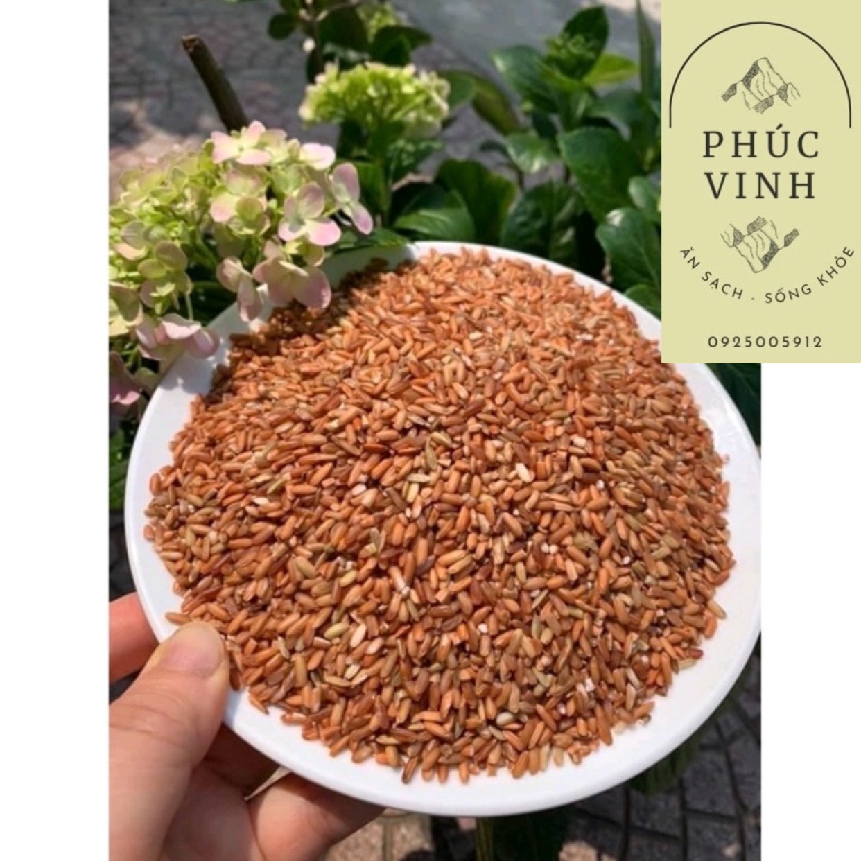 [2kg] Gạo lứt đỏ dẻo Điện Biên ( Không cần ngâm nước)