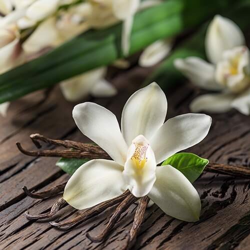 Tinh Dầu Vani Nomad Vanilla Essential Oil Blend