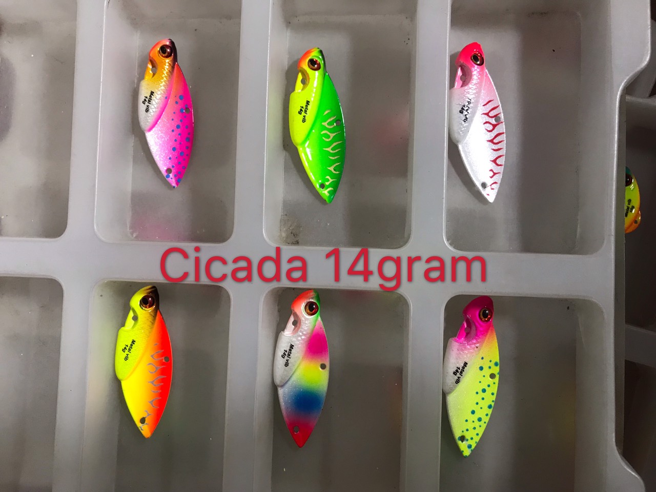 CÁ SẮT CICADA LƯỠI BKK