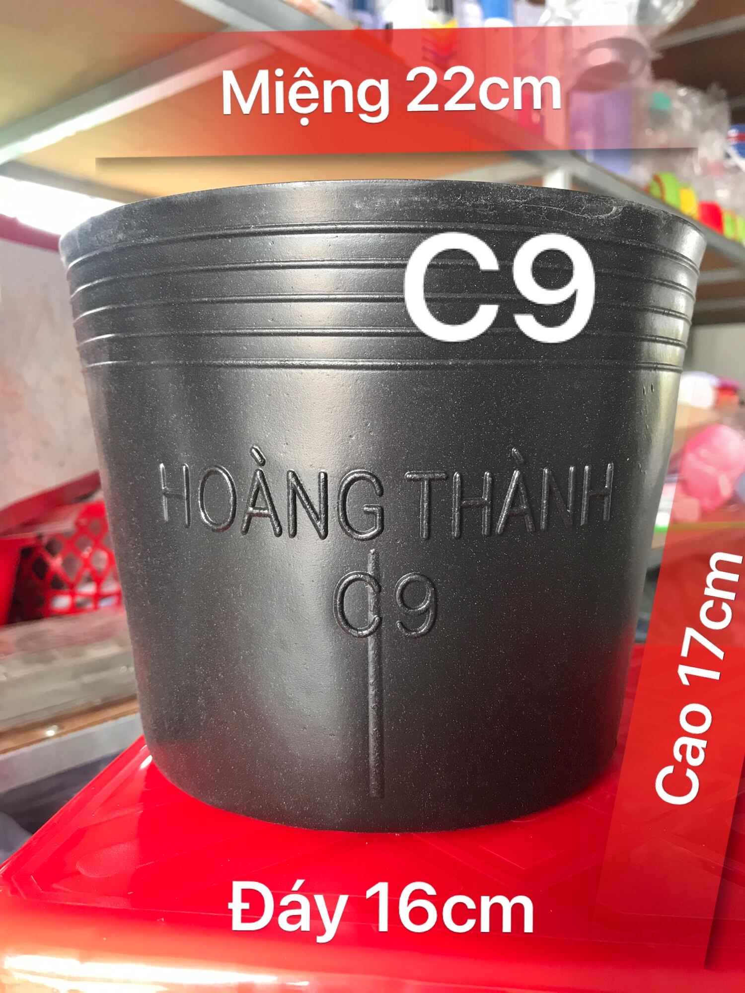 Combo 10 Chậu nhựa đen dày ươm cây non Từ c6,c7,c8,c9