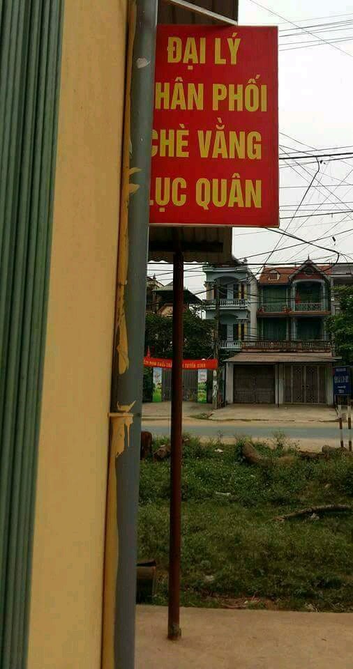 BỊCH 120 TÚI LỌC CHÈ VẰNG HÀNG CHUẨN TRƯƠNG SQLQ 1