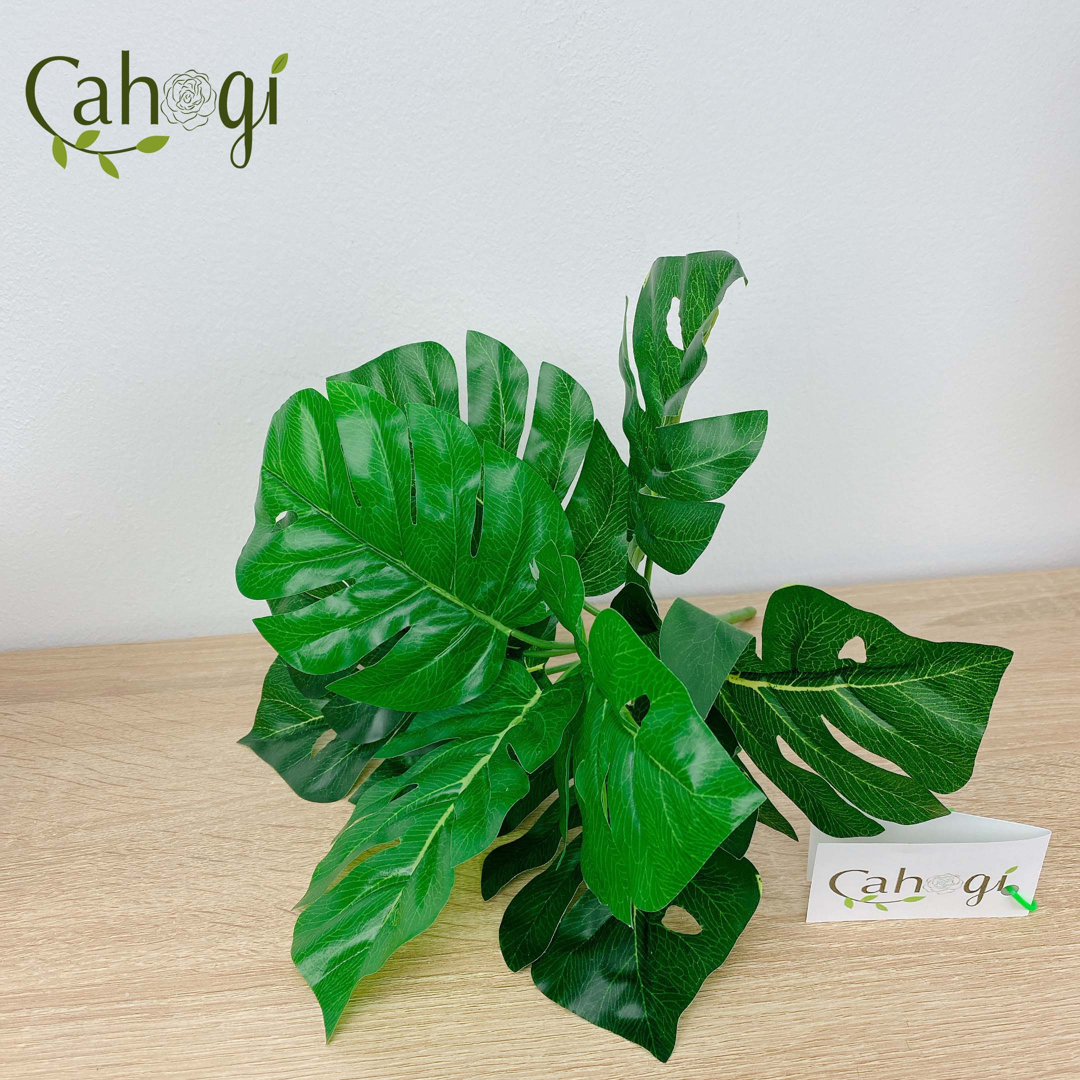 Cây Giả Cây Lá Rùa 30cm