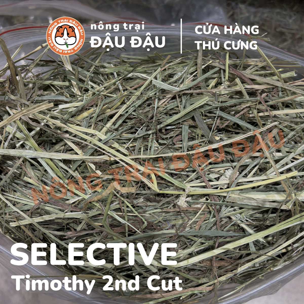 Cỏ Timothy Cho Thỏ, Bọ Ú, Chinchilla Cỏ Timothy 500g, 1kg