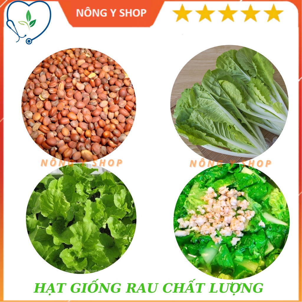 (Túi zip 100 hạt trồng thử) Hạt giống cải bẹ dún Rạng Đông RADO 67