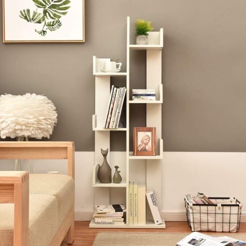 Kệ Xương Rồng Cao câp, đủ màu để bạn lựa chọn