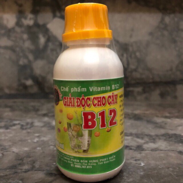 Vitamin B12 giải độc, chống sốc cho lan