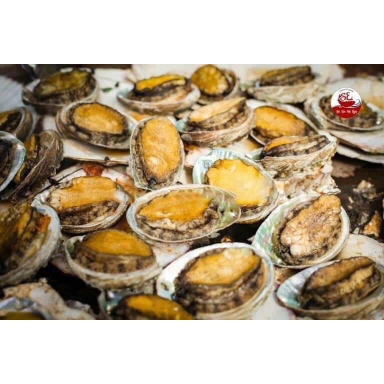 Korean Abalone 500Gr Size 16-20 Pieces Per kg (Express Delivery to Ho Chi Minh City)