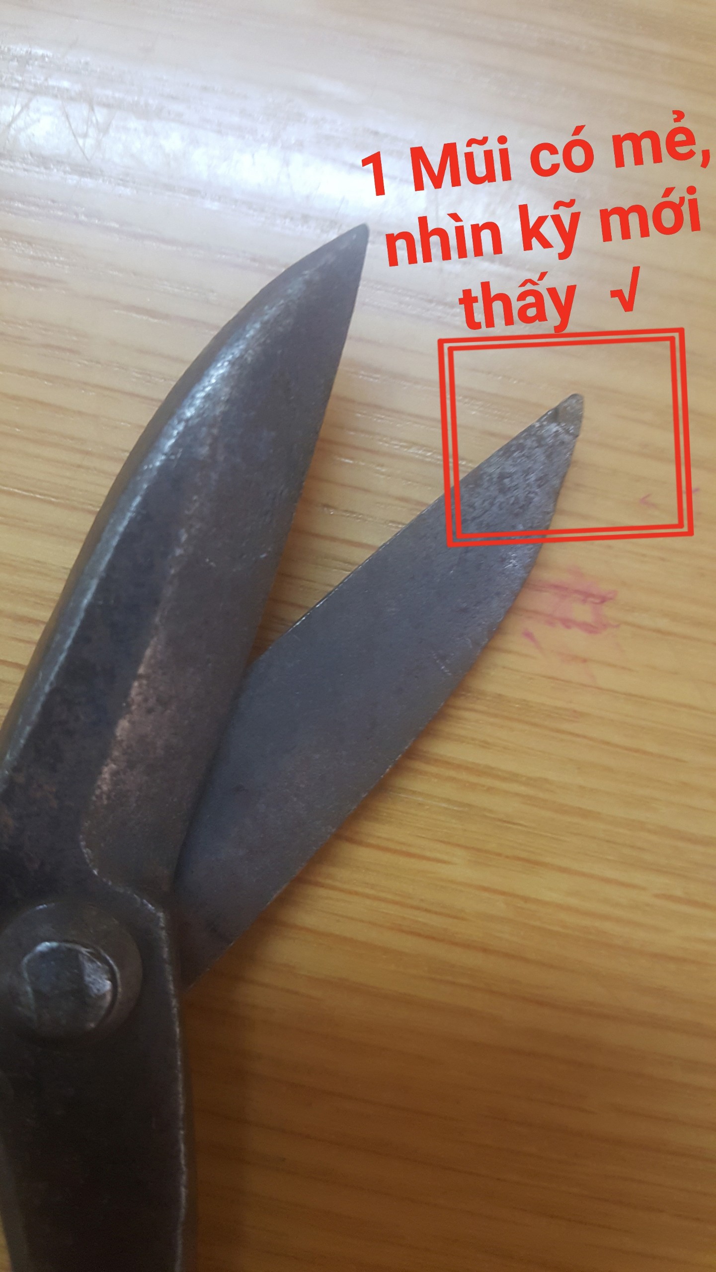 Metal Cutting Scissor Straight Edge