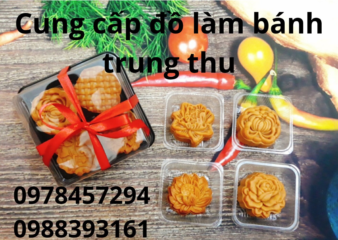Bột trà xanh Đài Loan gói lẻ 10g