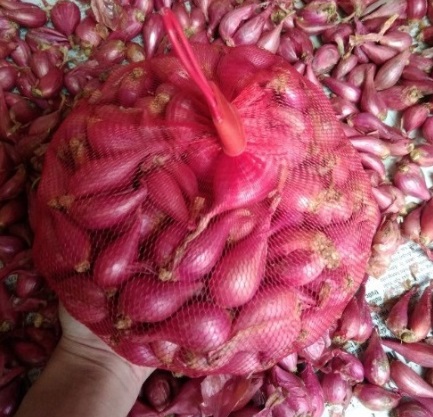 HÀNH TÍM ĐĂC SẢN ĐẢO LÝ SƠN QUẢNG NGÃI (1 KG)