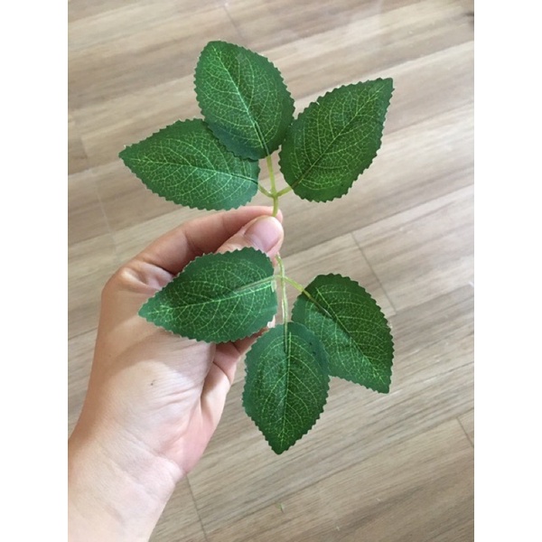 Hoa giả - 10 Lá hồng gân