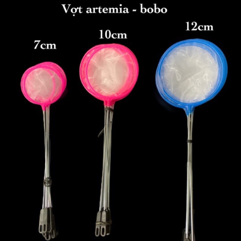🐠 vợt artemia - bo bo - cá con