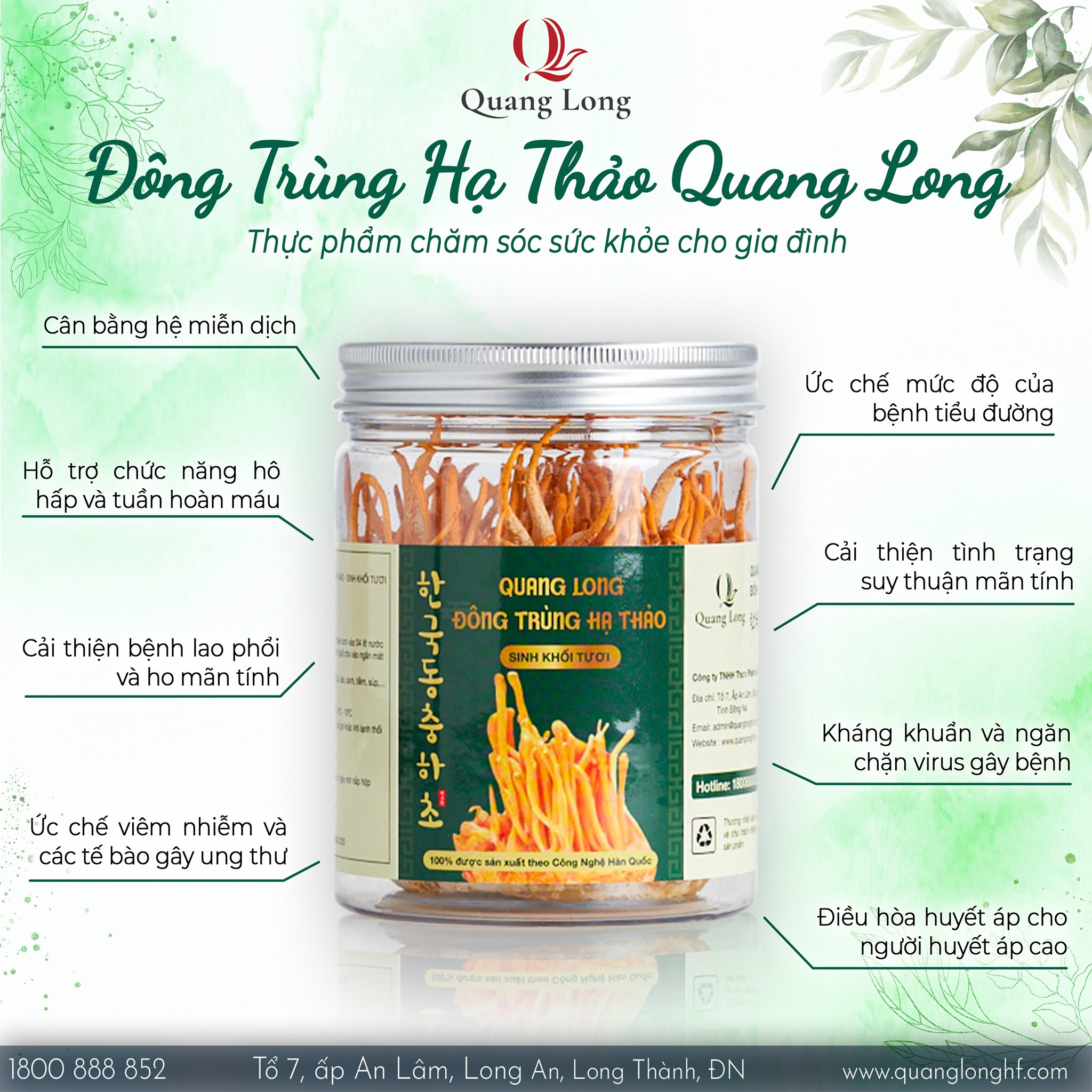 Nấm Đông trùng hạ thảo Quang Long Sinh khối Tươi - 130gr / hộp