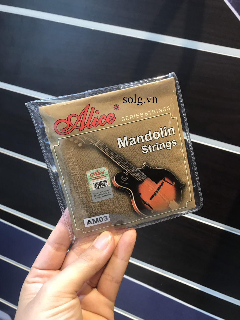 Dây đàn Mandolin giá rẻ Alice