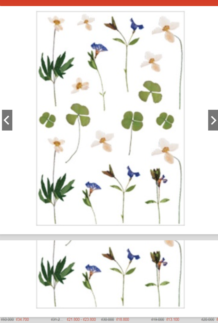 Sticker hoa lá Vintage trang trí sổ bullet jouranal, thiệp, nhãn dán hình hoa lá nhiều mẫu -vpp TueMinh