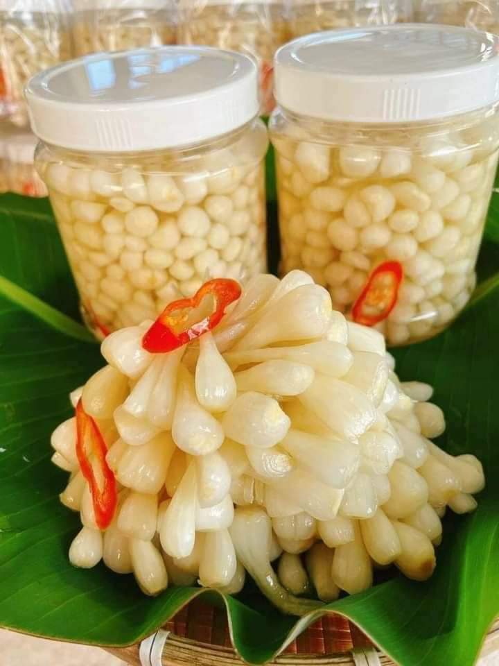 CỦ KIỆU CHUA NGỌT GIÒN TAN  HỦ 500GR
