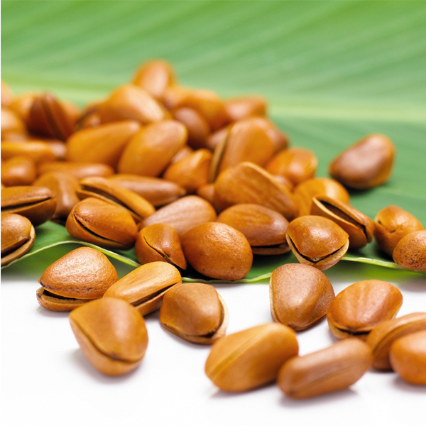 Hạt thông Mỹ - hộp 500gram