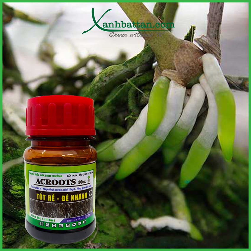 Phân Bón Kích Rễ Và Kích Mầm Acroot Chai 100 ml