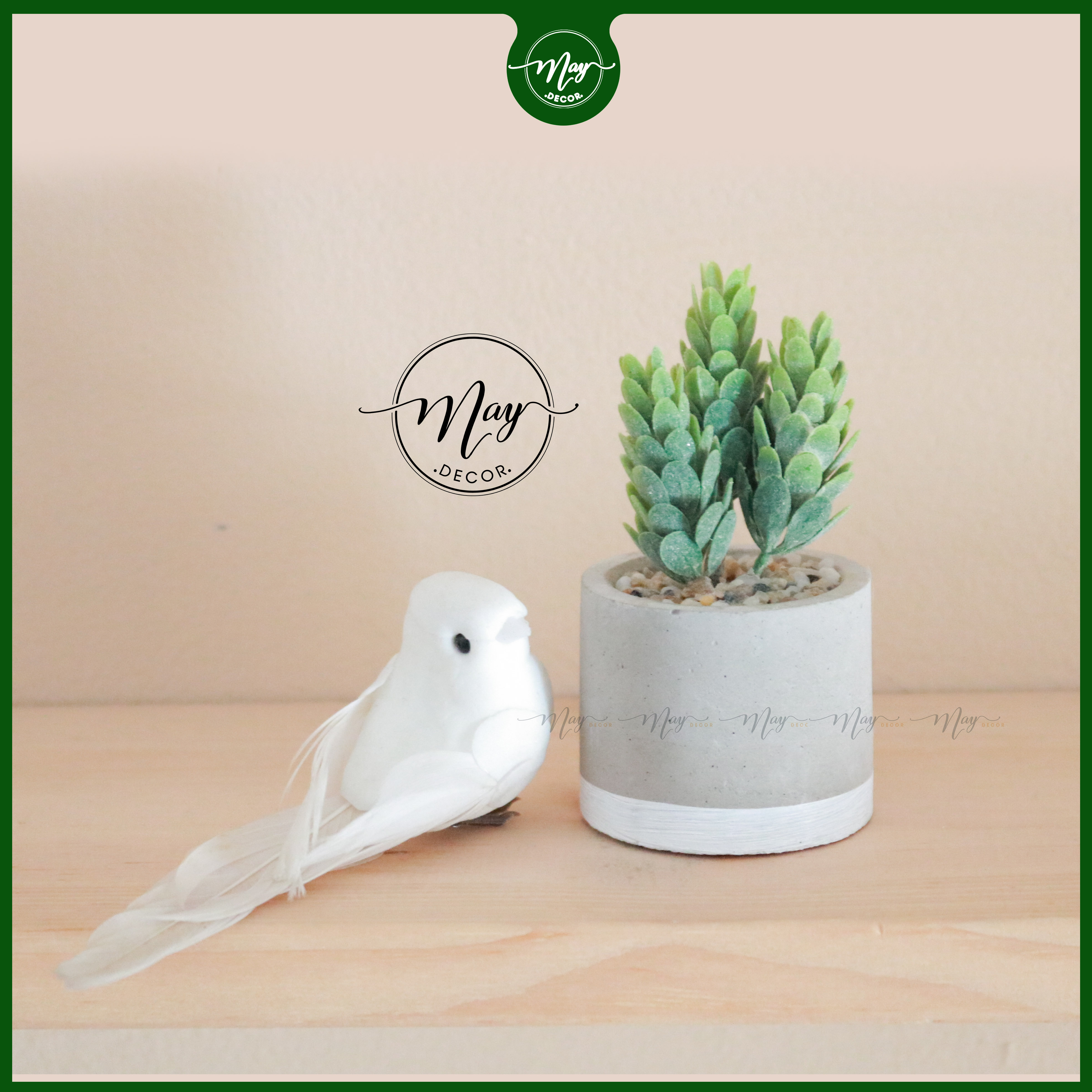 Cây mini chậu Xi măng 45cm