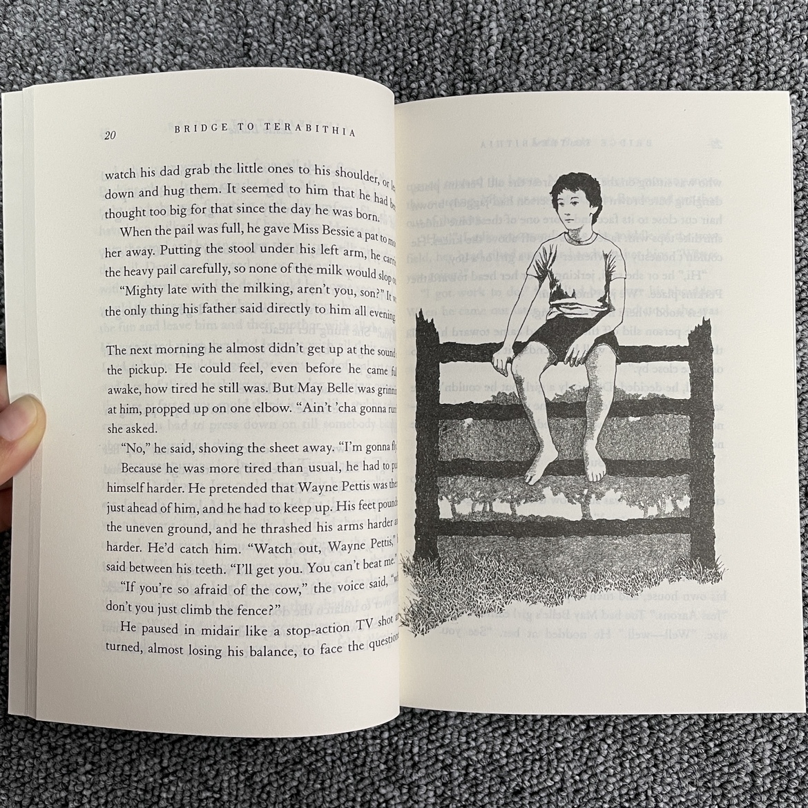 Newbery Award Classic Collection - sách nhập khẩu - 8 cuốn