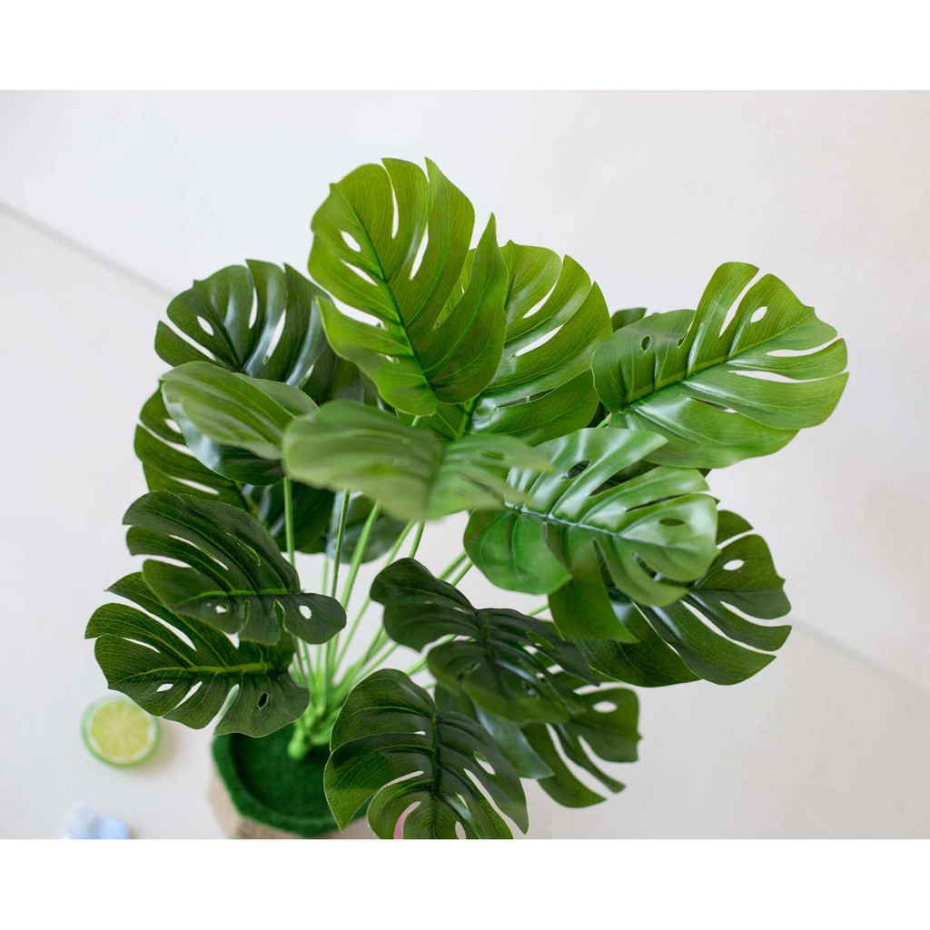 CÂY LÁ RÙA LỚN CÂY GIẢ 18 LÁ