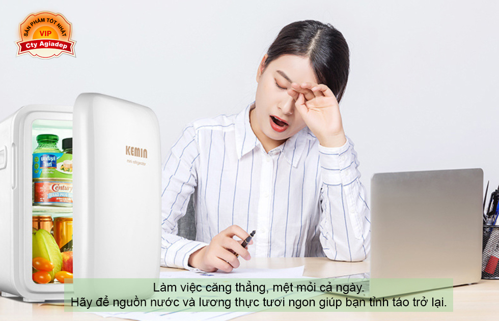 Tủ lạnh mini KEMIN Cao cấp (Dùng cả trên oto xe hơi và trong nhà) - Loại 10L