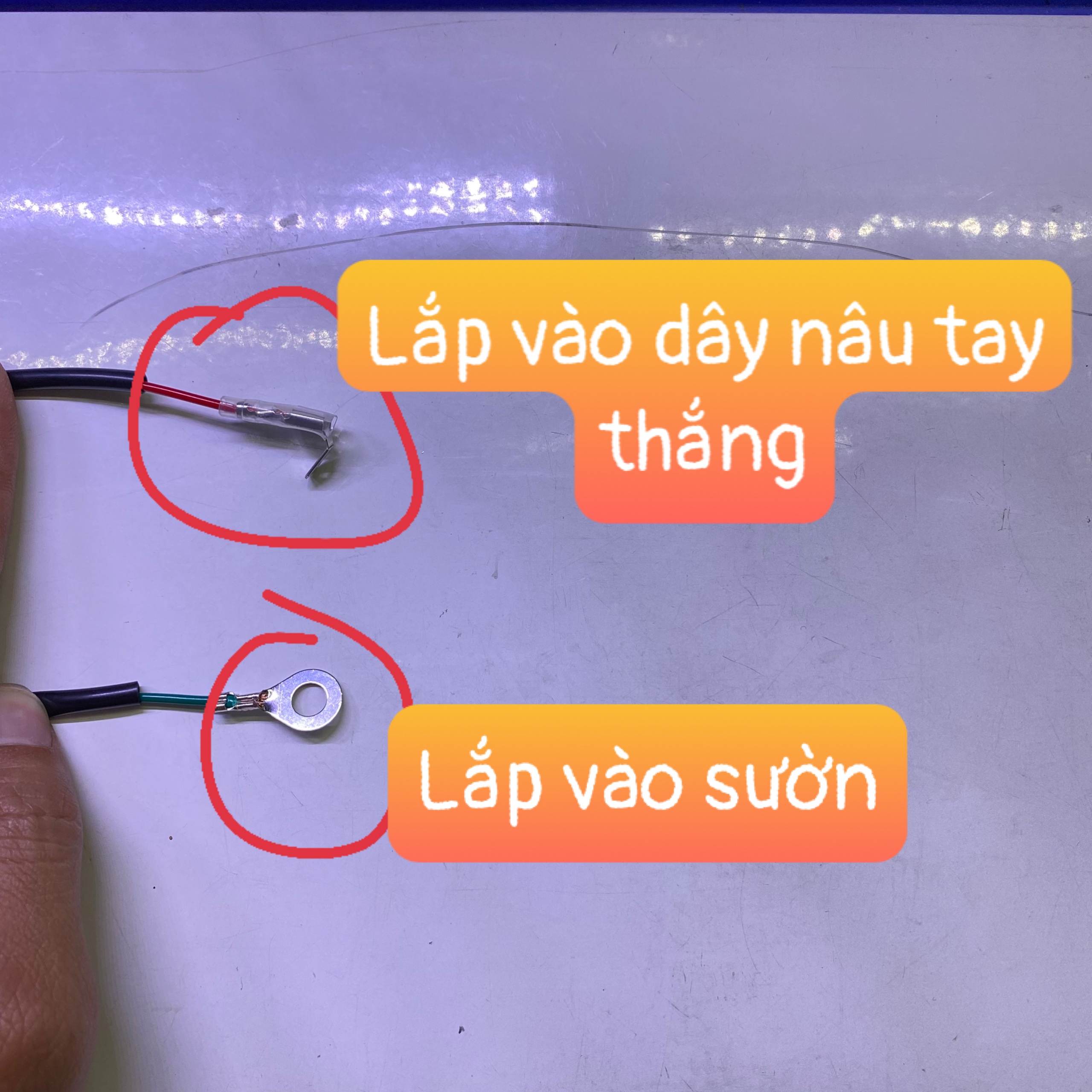 Mạch Passing chung pha Winner x , Winer V3 xài công tắc zin