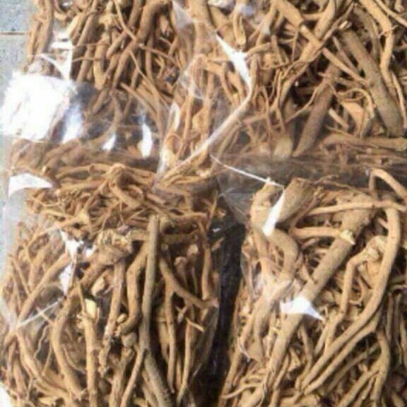 1kg rễ đinh lăng khô
