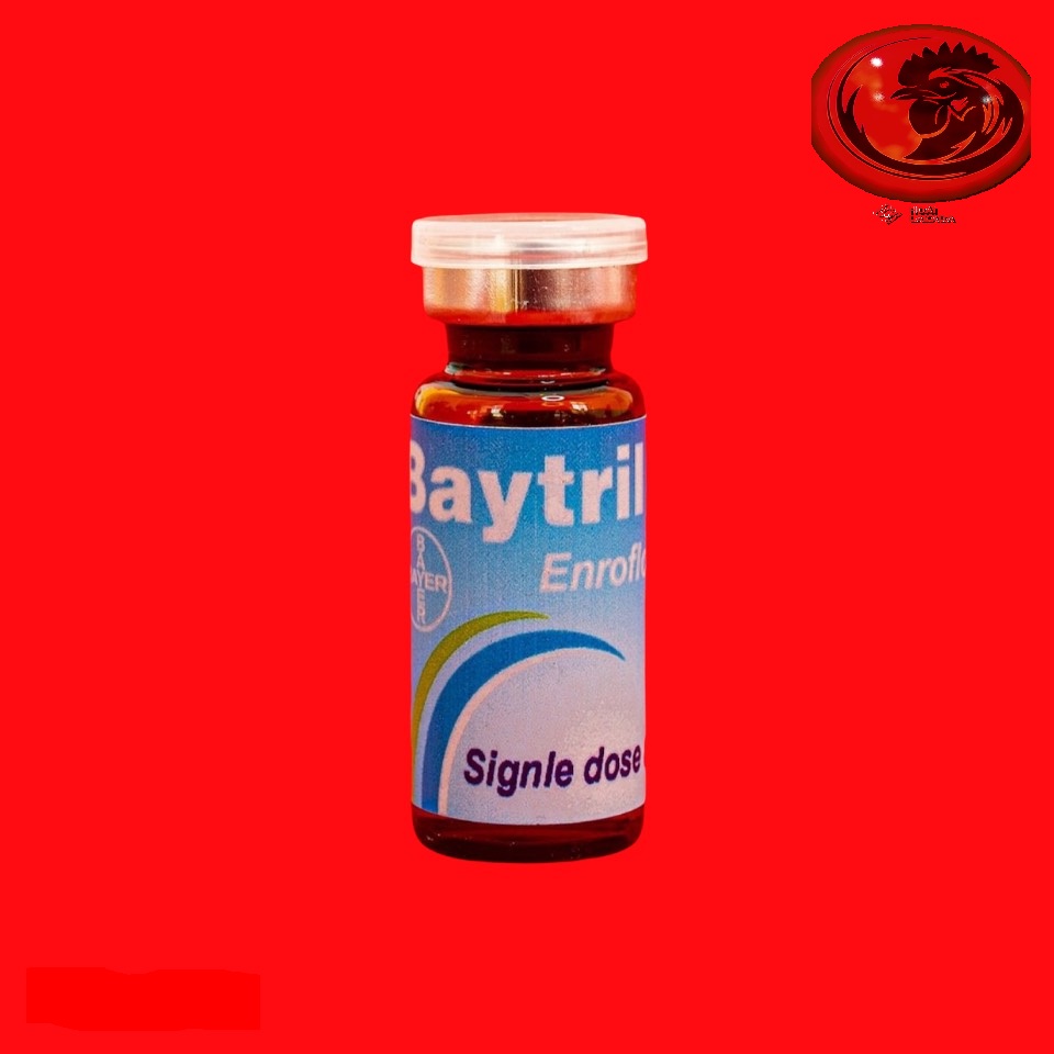 BAYTRILL MAX 10% khò khè, tiêu chảy gà đá 10ml