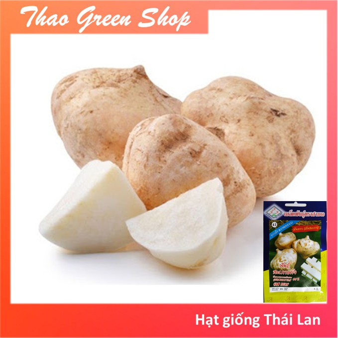 HẠT GIỐNG CỦ ĐẬU THÁI LAN - 5G
