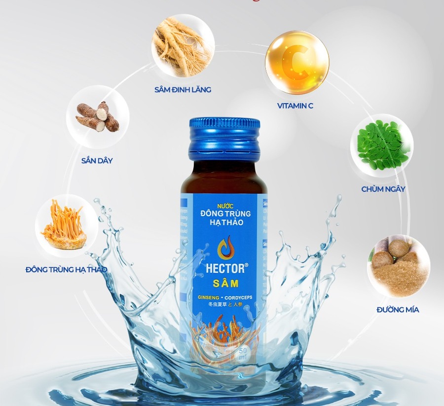 [HCM]Nước Đông Trùng Hạ Thảo Hector Sâm 50ml [Combo 2 Chai]