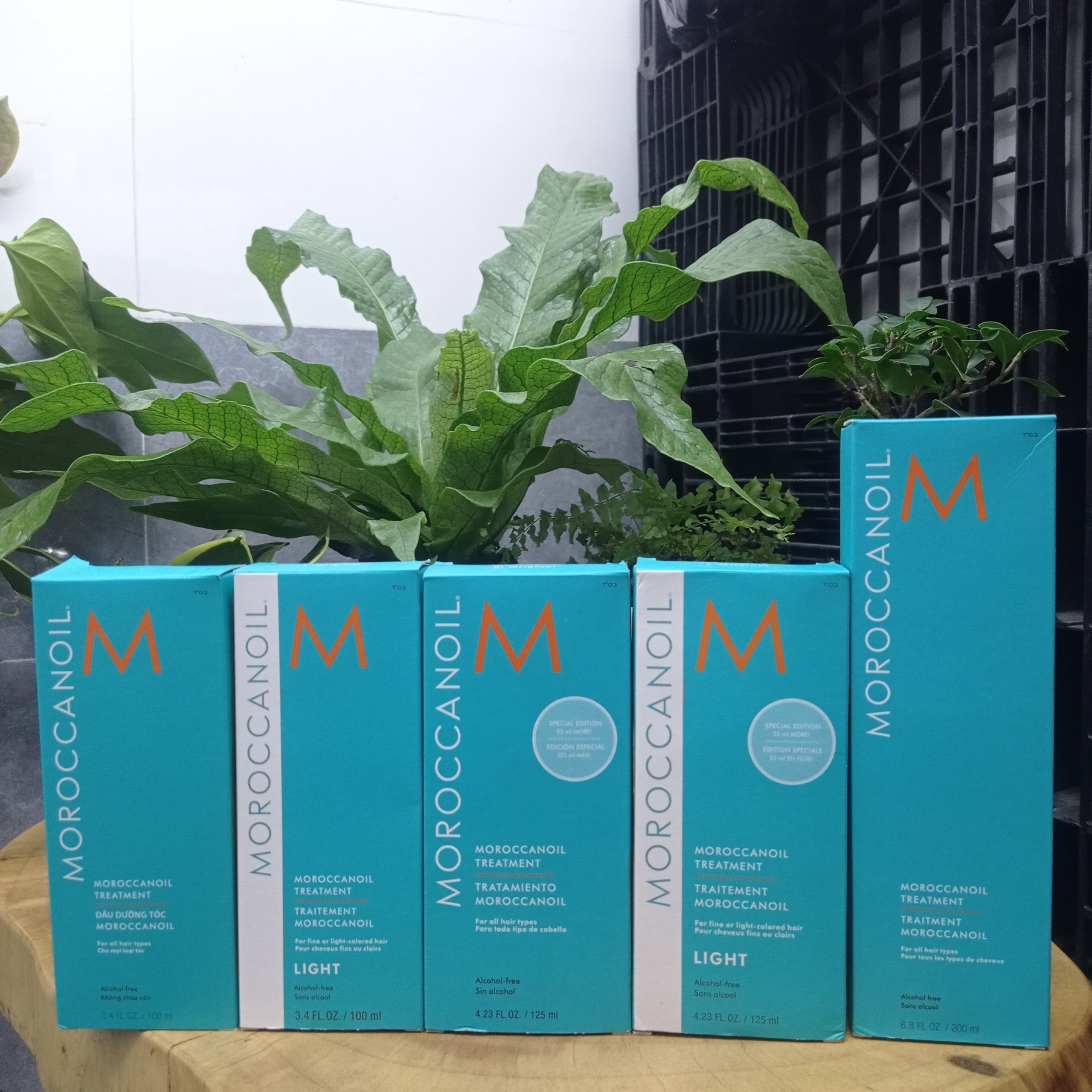 [HCM]Tinh dầu dưỡng tóc Moroccanoil Treatment Light