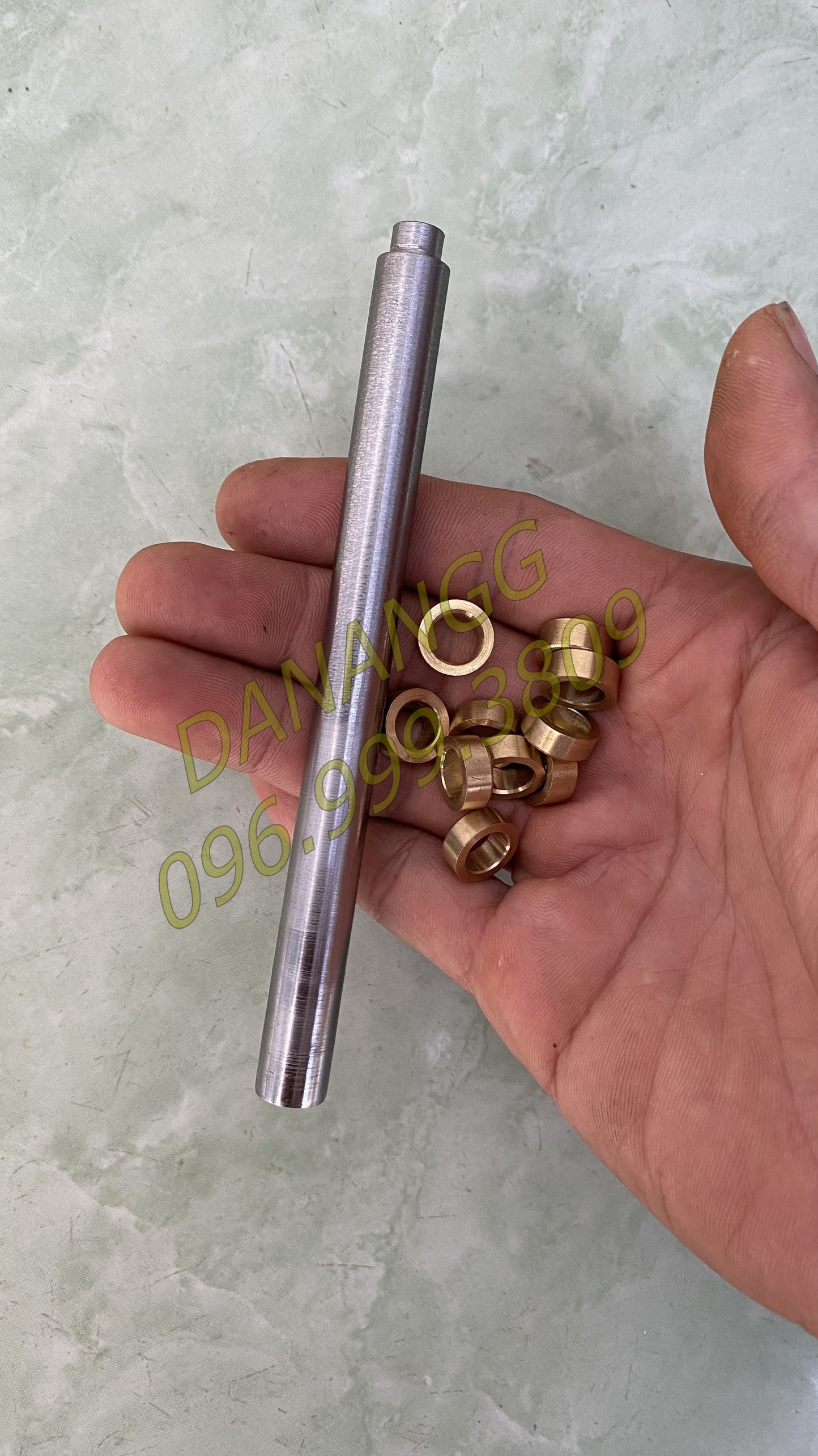 cây đóng bạc lao đề và bạc đồng lao đề