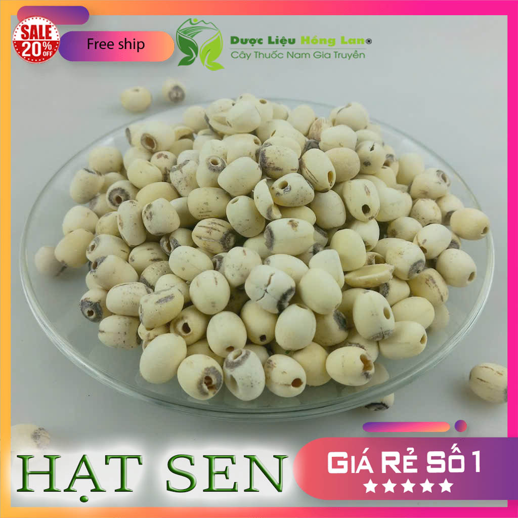 [FreeshipMAX] Hạt sen khô thượng hạng 500gr loại 1 (có hút chân không)
