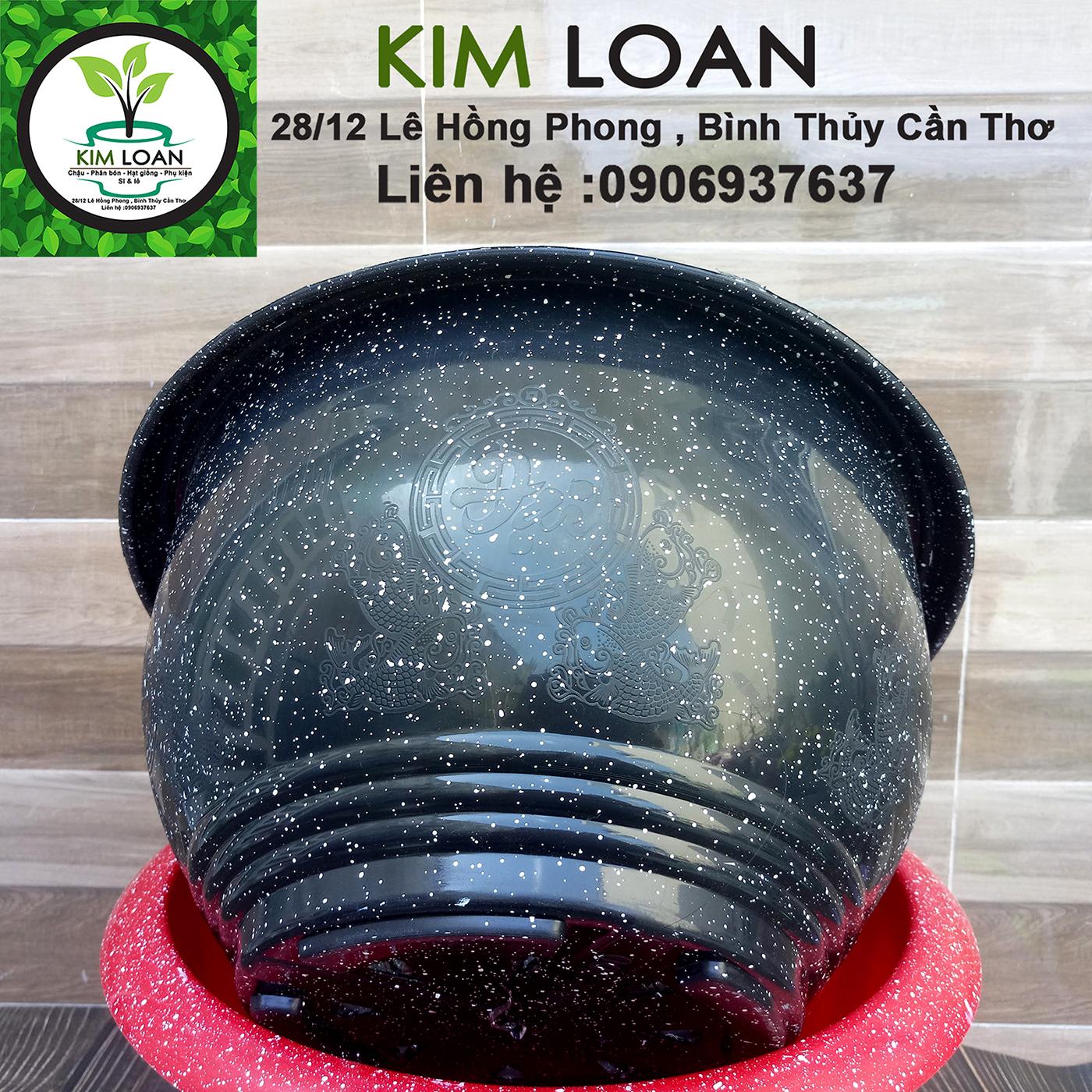 Combo 4 chậu tròn vân đá Cát Tường 35x20cm