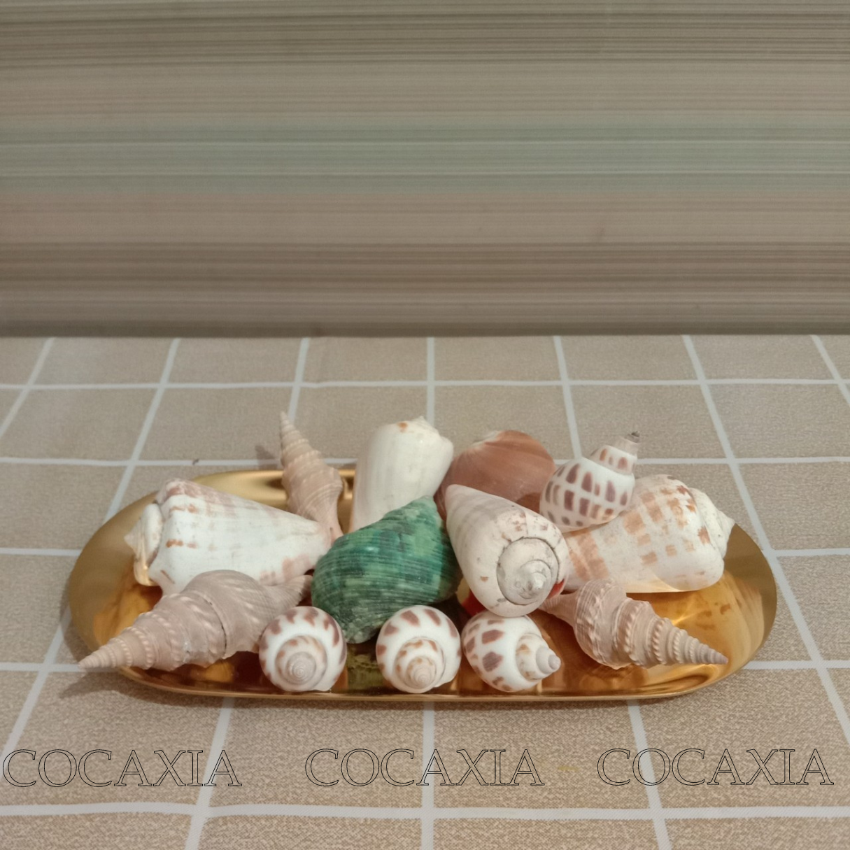 Handmade decorative sea shell, Gravel