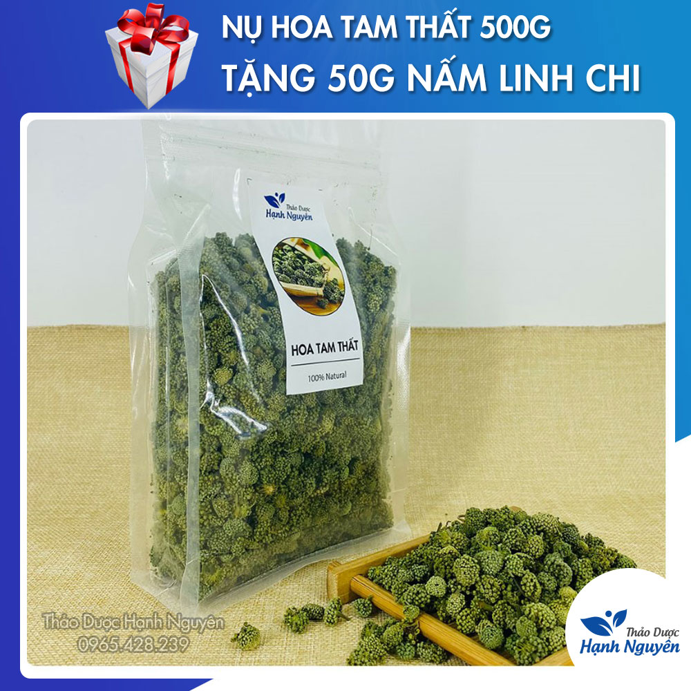 Nụ hoa tam thất bao tử 500g - Thảo Dược Hạnh Nguyên