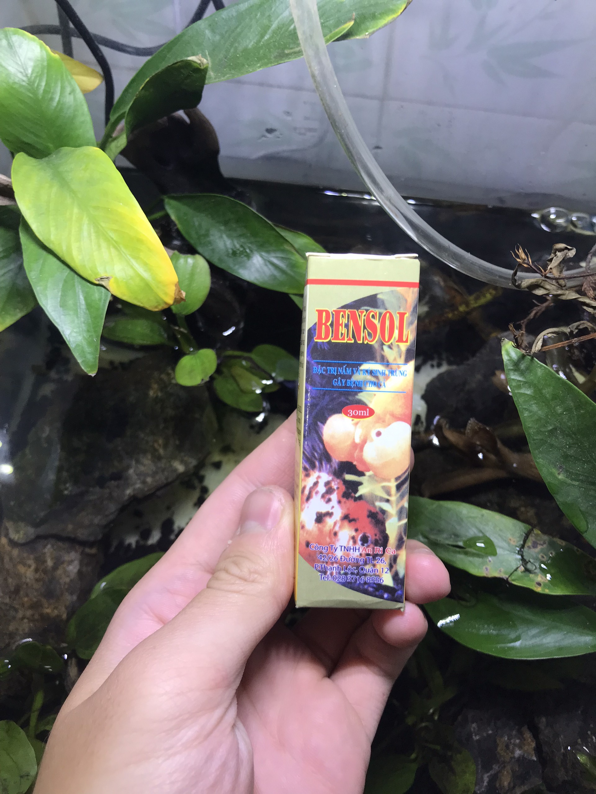Thuốc trị bệnh, phòng bệnh cho cá cảnh