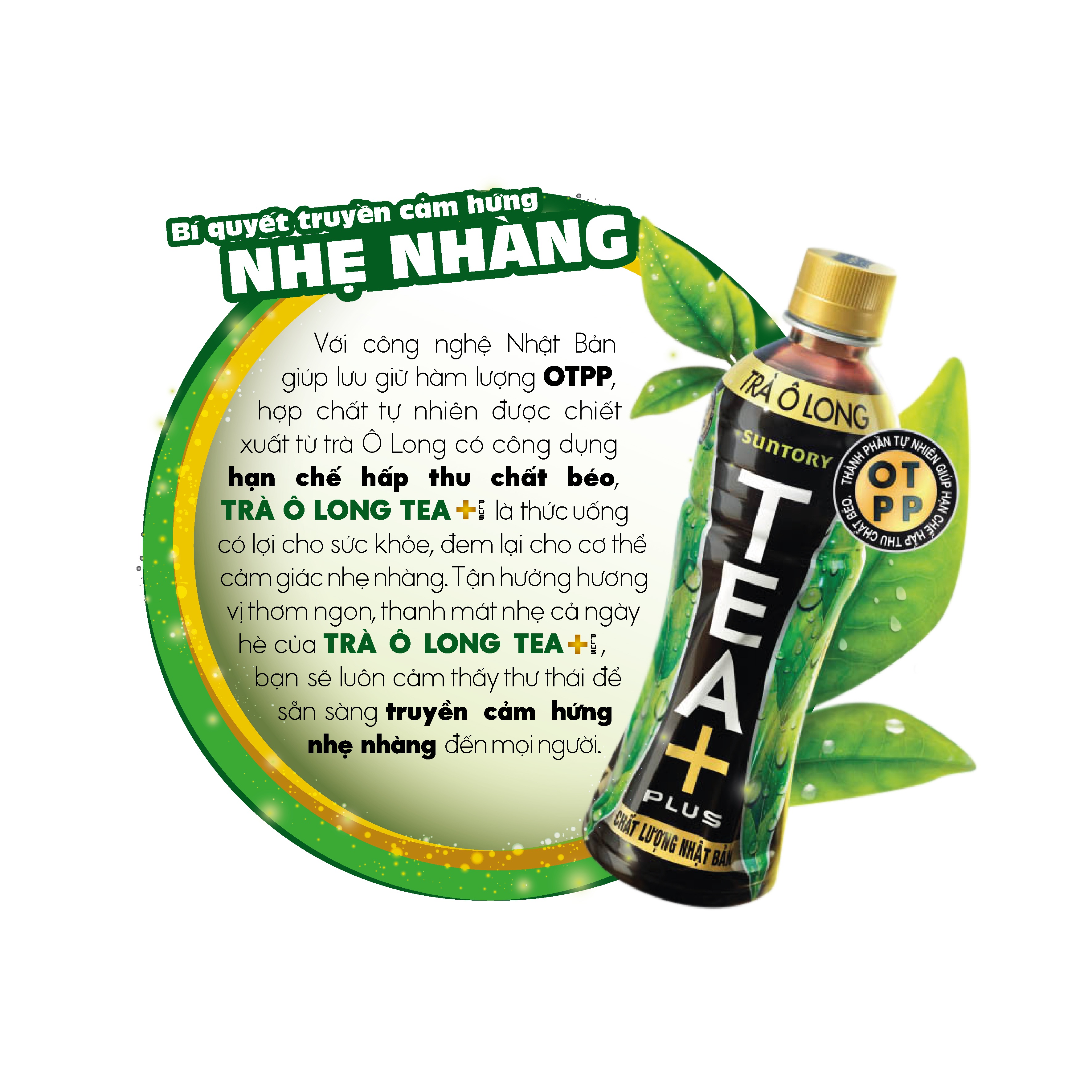 Lốc 6 Chai Trà Ô Long Tea+ Plus 1L/Chai