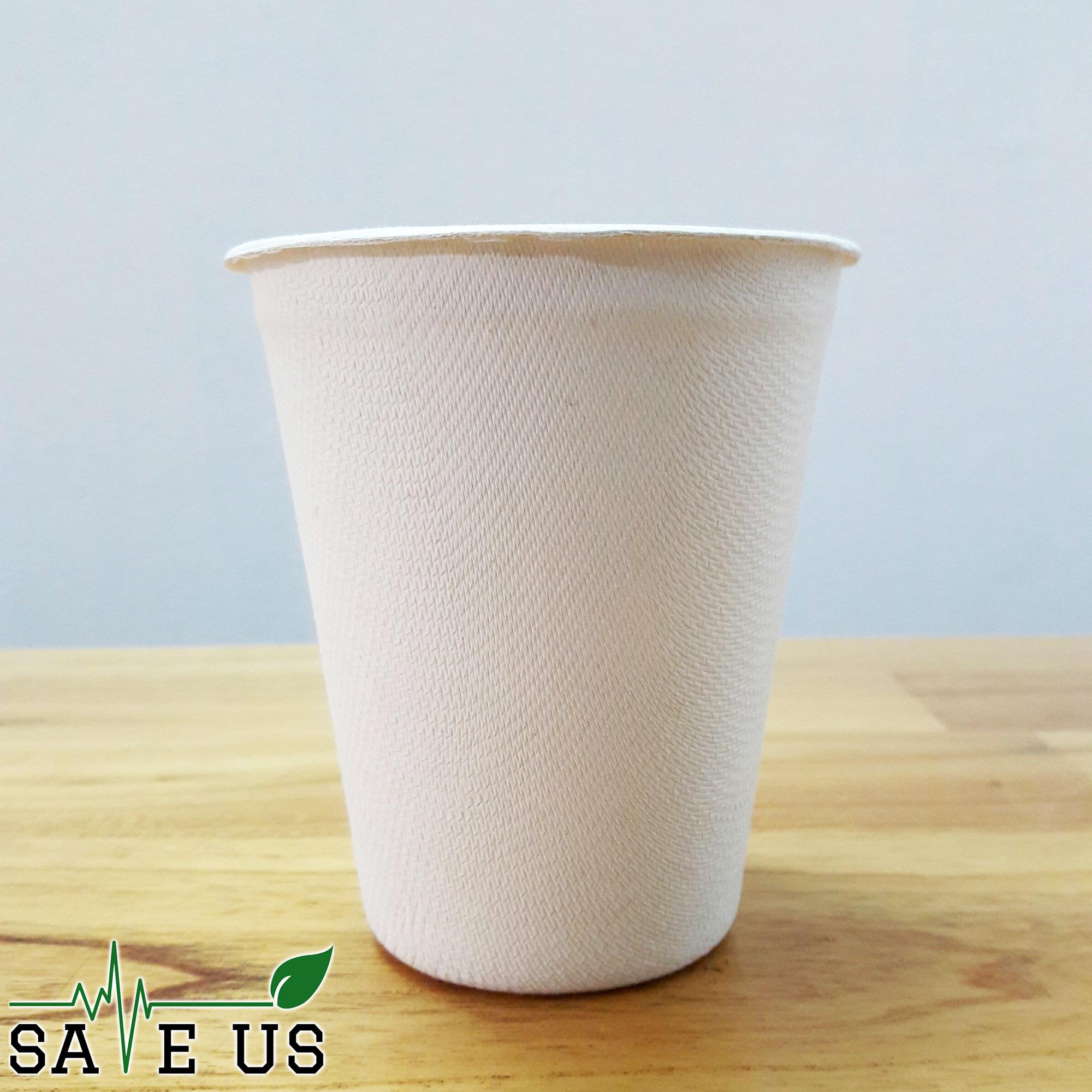 Ly bã mía GRACZ - gói 50 cái (không nắp)