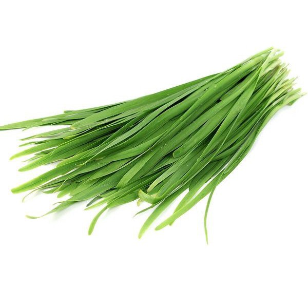Hạt Giống Cây Hẹ - Hạt giống rau thơm