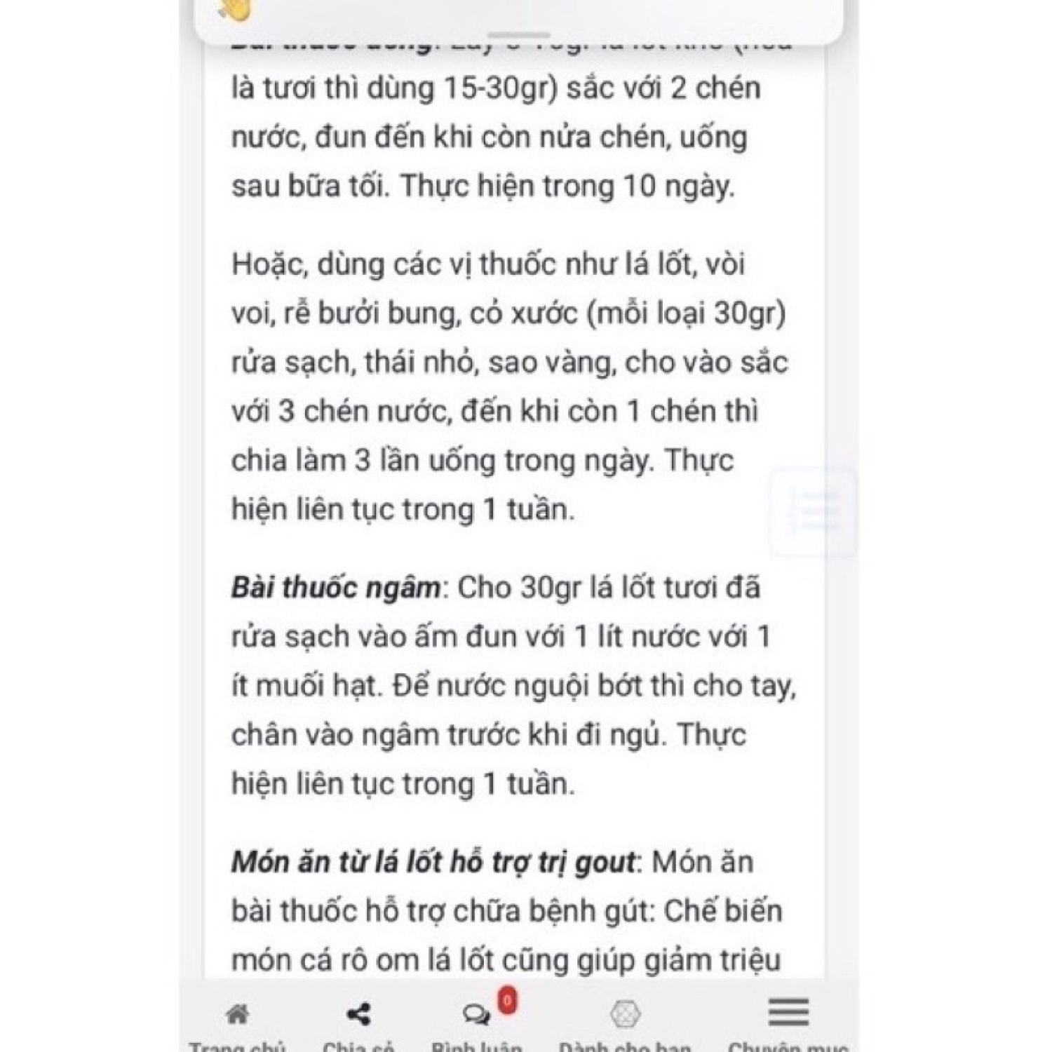 Combo Chậu gồm 5 cây lá lốt