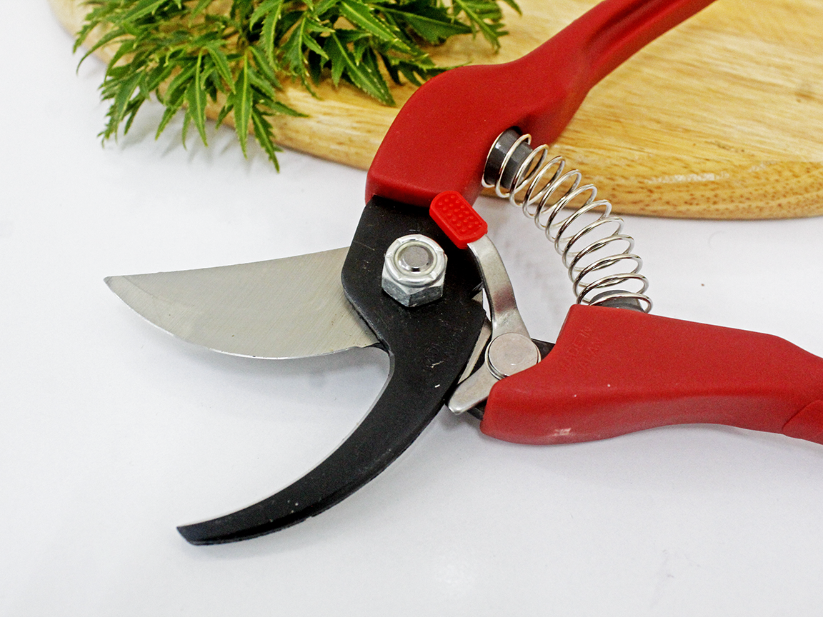 Kéo cắt cành cao cấp Nhật Bản Chikamasa PS-20R