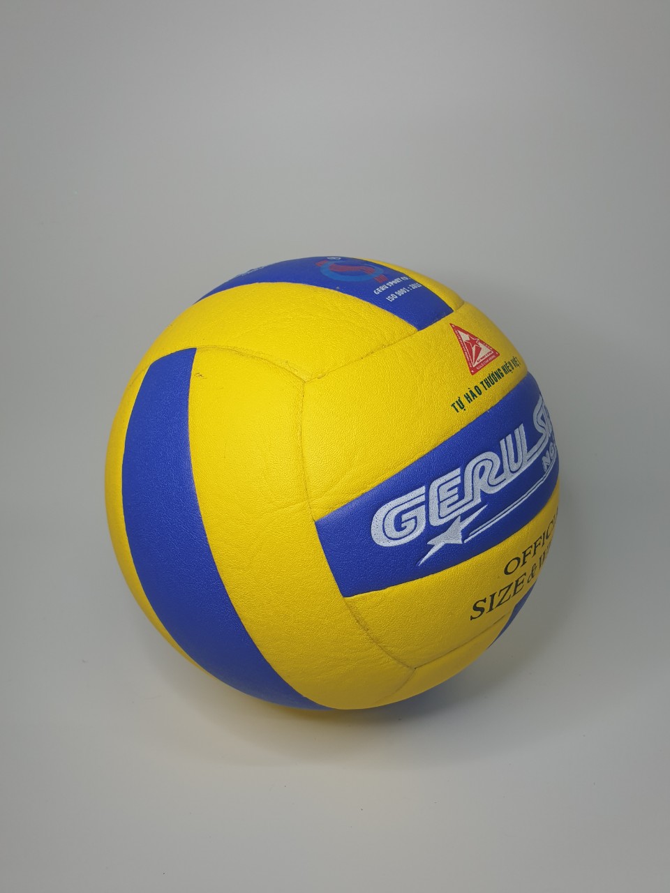 Bóng chuyền VTVcup Số 5 GeruSport