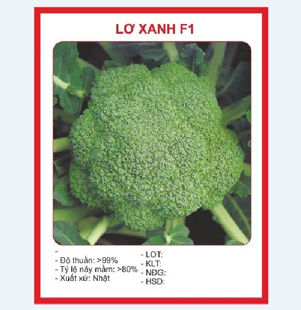 Hạt giống súp lơ xanh Nhật Bản dễ trồng - 0.2gram/gói